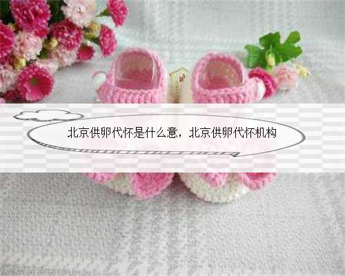 北京供卵代怀是什么意，北京供卵代怀机构
