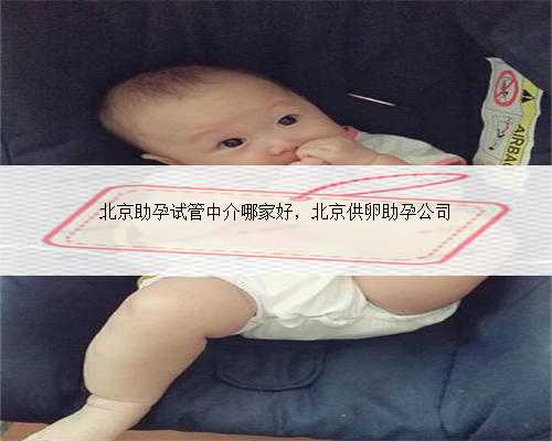 北京助孕试管中介哪家好，北京供卵助孕公司