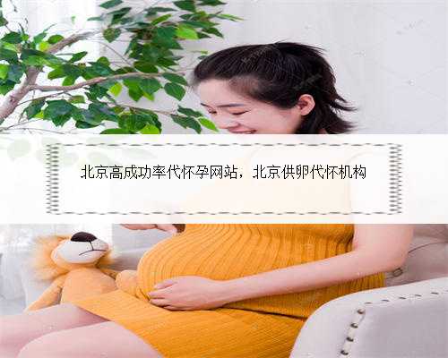 北京高成功率代怀孕网站，北京供卵代怀机构
