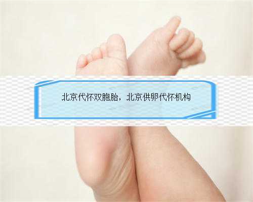 北京代怀双胞胎，北京供卵代怀机构