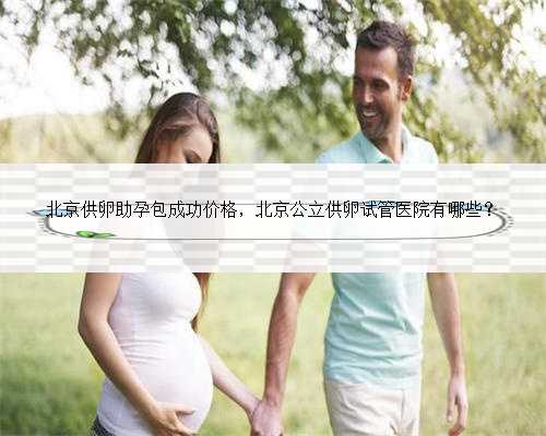 北京供卵助孕包成功价格，北京公立供卵试管医院有哪些？