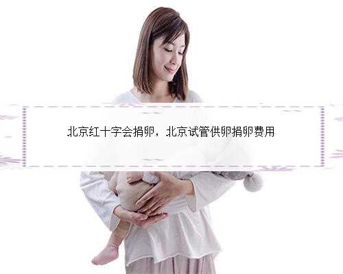 北京红十字会捐卵，北京试管供卵捐卵费用