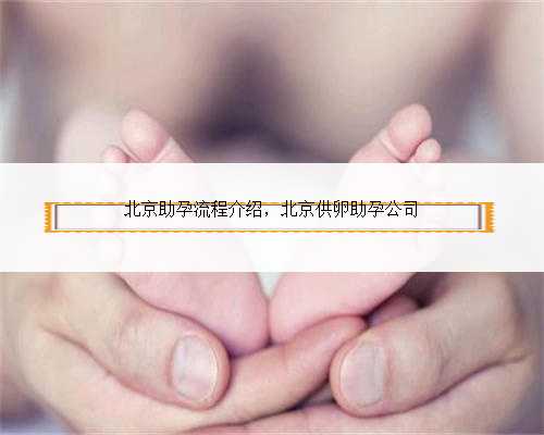 北京助孕流程介绍，北京供卵助孕公司
