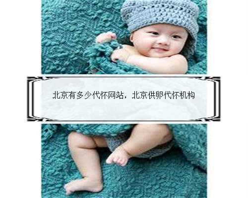 北京有多少代怀网站，北京供卵代怀机构