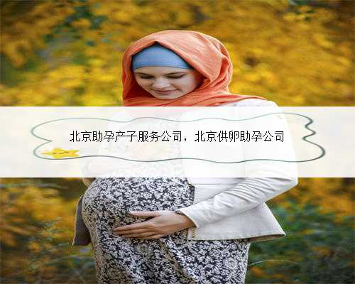 北京助孕产子服务公司，北京供卵助孕公司