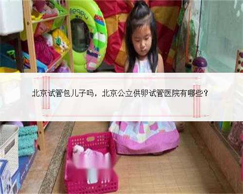 北京试管包儿子吗，北京公立供卵试管医院有哪些？