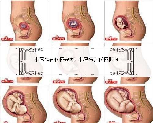 北京试管代怀经历，北京供卵代怀机构