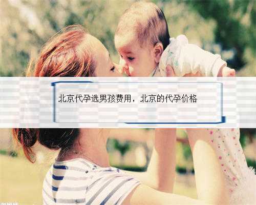 北京代孕选男孩费用，北京的代孕价格
