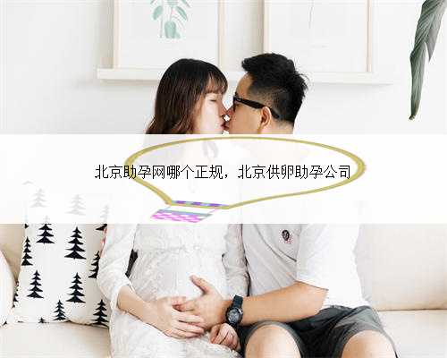 北京助孕网哪个正规，北京供卵助孕公司
