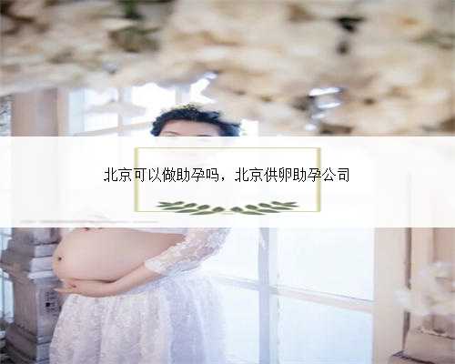 北京可以做助孕吗，北京供卵助孕公司