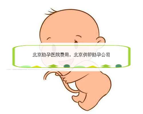 北京助孕医院费用，北京供卵助孕公司