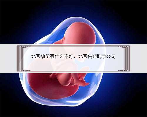 北京助孕有什么不好，北京供卵助孕公司