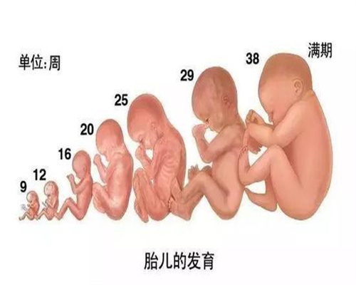 云南国外正规的代孕机构,云南代孕哪家最最便宜