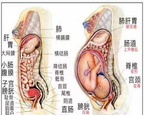 做试管婴儿怎么取精子~产妇二胎生下双胞胎女儿